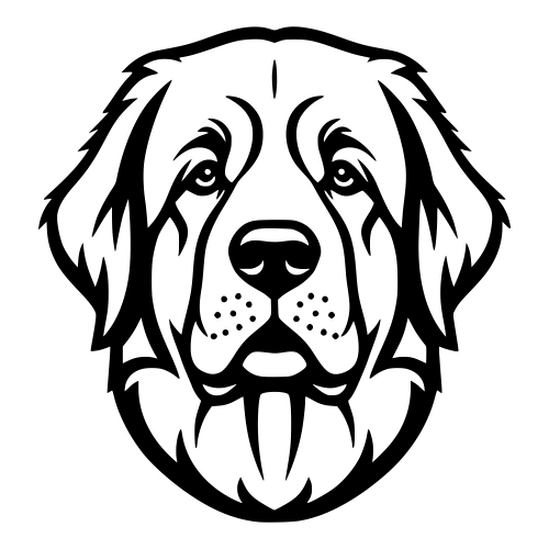 Newfoundland Face - Digital File - XCS Friendly Digital My Custom Designs PDF