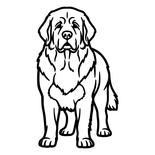 Newfoundland Silhouette - Digital File - XCS Friendly Digital My Custom Designs PDF