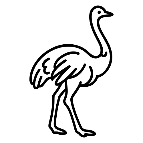 Ostrich Outline - Digital File - XCS Friendly Digital My Custom Designs PDF