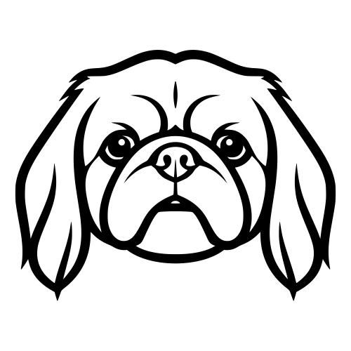 Pekingese Face - Digital File - XCS Friendly Digital My Custom Designs PDF