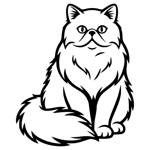 Persian Cat Sketch - Digital File - XCS Friendly Digital My Custom Designs PDF