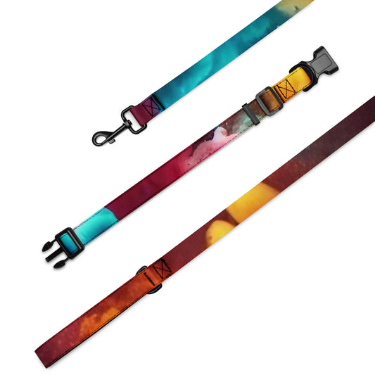 Pet collar & leash My Custom Designs L