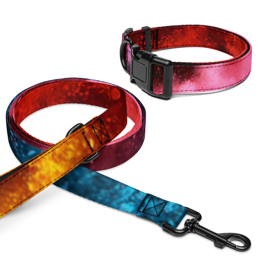 Pet collar & leash My Custom Designs L