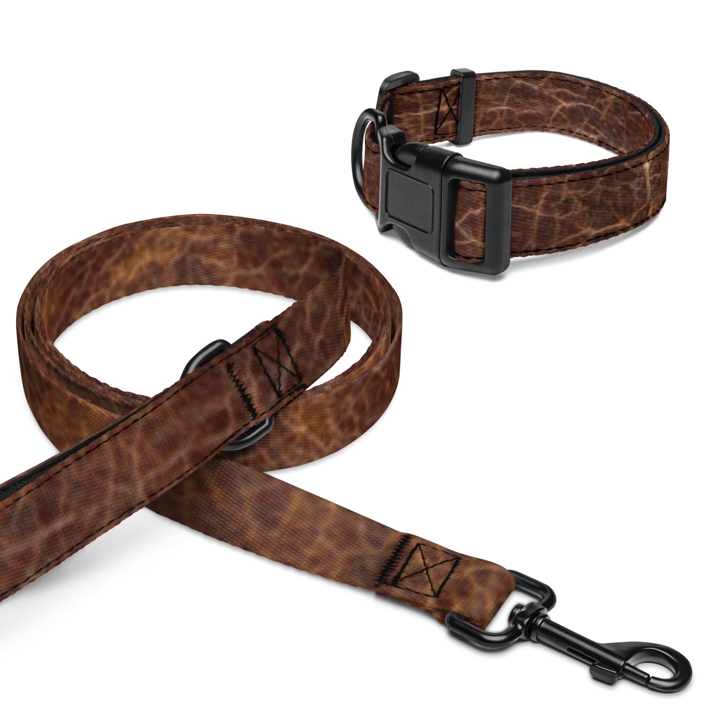 Pet collar & leash My Custom Designs M