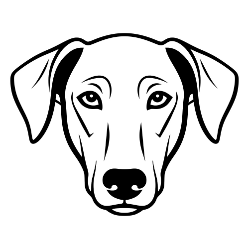Pharaoh Hound Face - Digital File - XCS Friendly Digital My Custom Designs PDF