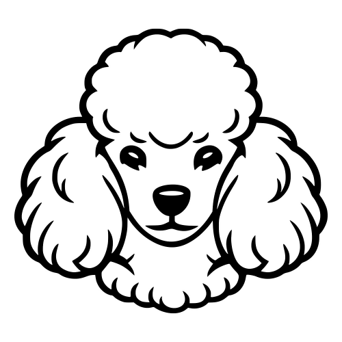 Poodle Face Outline - Digital File - XCS Friendly Digital My Custom Designs PDF