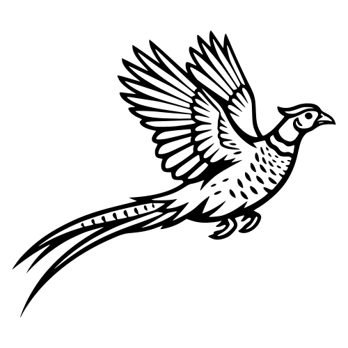 Pheasant in Flight - Digital File - XCS Friendly