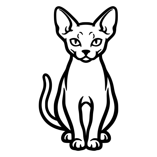Devon Rex Outline - Digital File - XCS Friendly Digital My Custom Designs PDF