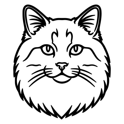 Ragdoll Cat Face Sketch - Digital File - XCS Friendly Digital My Custom Designs PDF