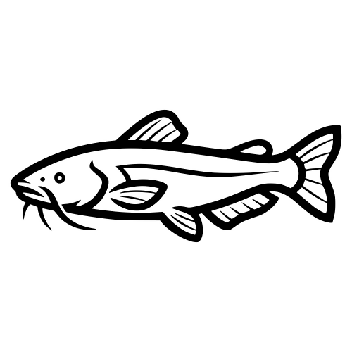 Catfish Outline - Digital File - XCS Friendly Digital My Custom Designs PDF