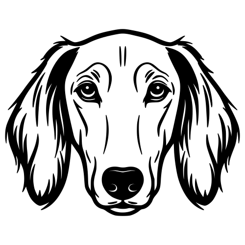 Saluki Face - Digital File - XCS Friendly Digital My Custom Designs PDF
