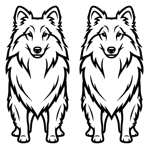 Shetland Sheepdoog - Digital File - XCS Friendly Digital My Custom Designs PDF