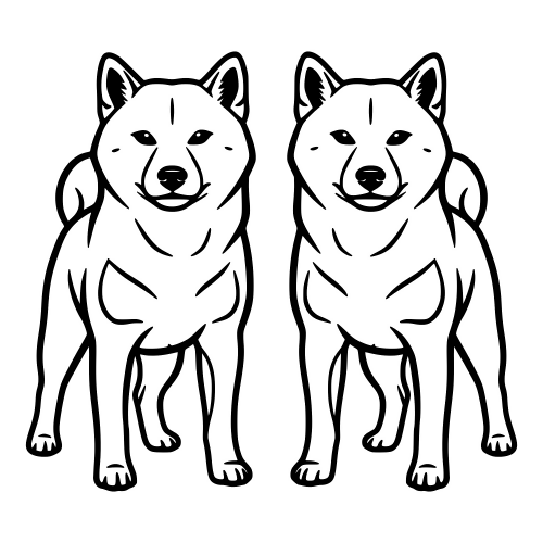 Shiba Inu - Digital File - XCS Friendly Digital My Custom Designs PDF