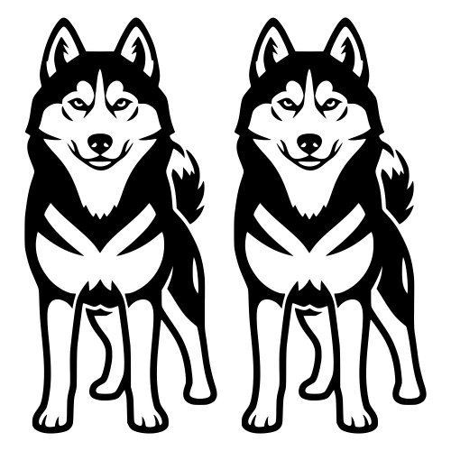 Siberian Husky Whole Body - Digital File - XCS Friendly Digital My Custom Designs PDF