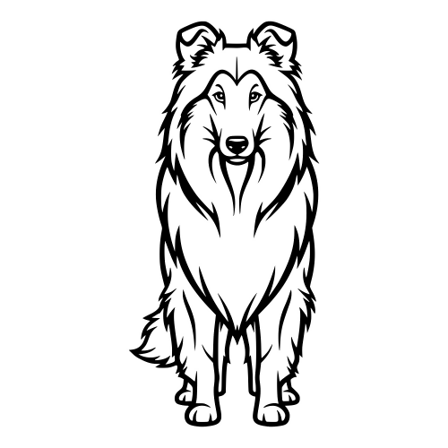 Collie Long Fur - Digital File - XCS Friendly Digital My Custom Designs PDF