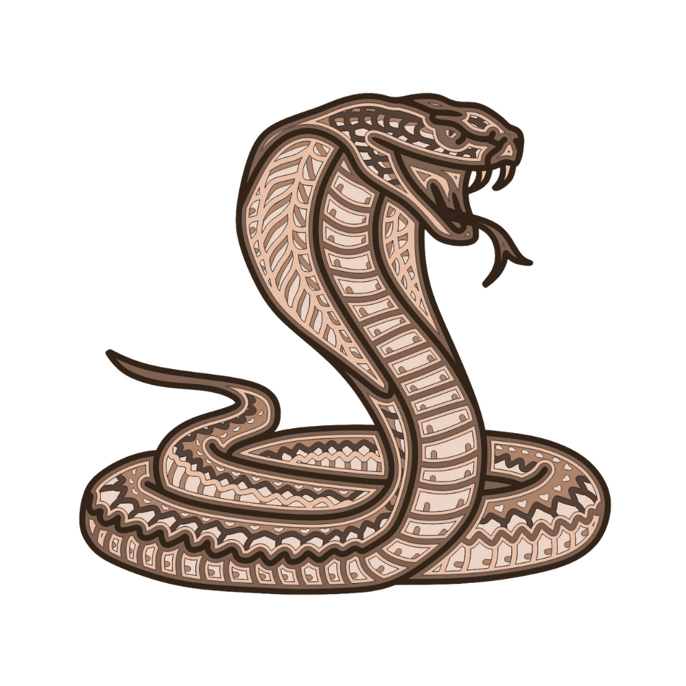 Snake - Layered Line Design - Digital File Digital My Custom Designs ZIP File