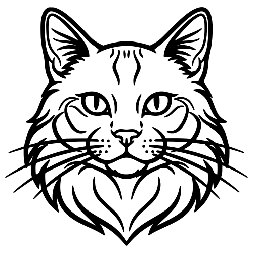 Somali Fluffy Face - Digital File - XCS Friendly Digital My Custom Designs PDF