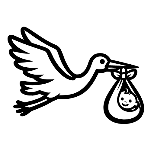 Stork Carrying Baby - Digital File XCS Friendly Digital My Custom Designs PDF