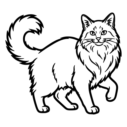 Somali Fluffy Cat - Vector Graphics - Digital File Digital My Custom Designs PDF