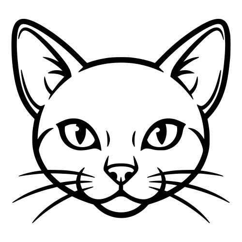 Tonkinese Cartoon Face - Digital File - XCS Friendly Digital My Custom Designs PDF