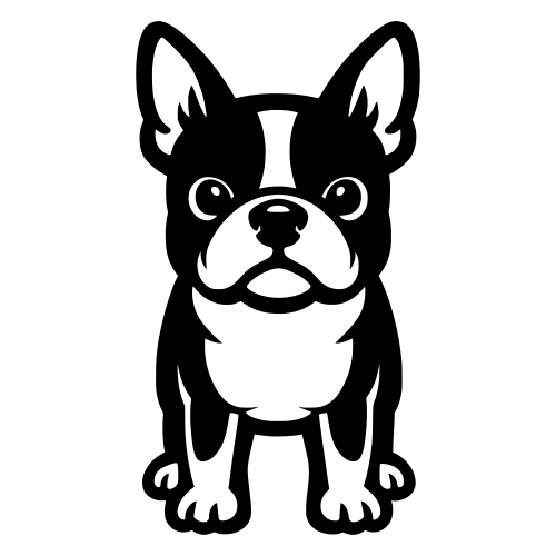 Boston Terrier - Digital File - XCS Friendly Digital My Custom Designs PDF