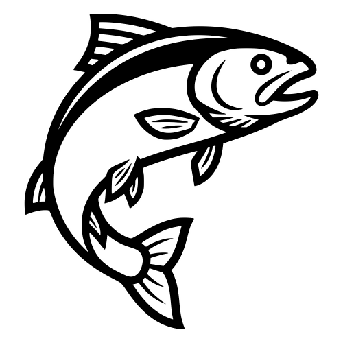 Trout Illustration - Digital File - XCS Friendly Digital My Custom Designs PDF