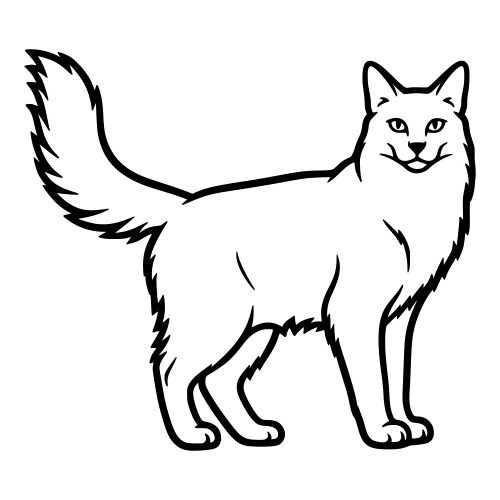 Turkish Angora - Digital File - XCS Friendly Digital My Custom Designs PDF