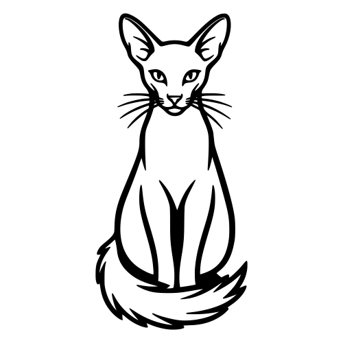 Oriental Longhair Cat Outline - Vector Graphics - Digital File Digital My Custom Designs PDF