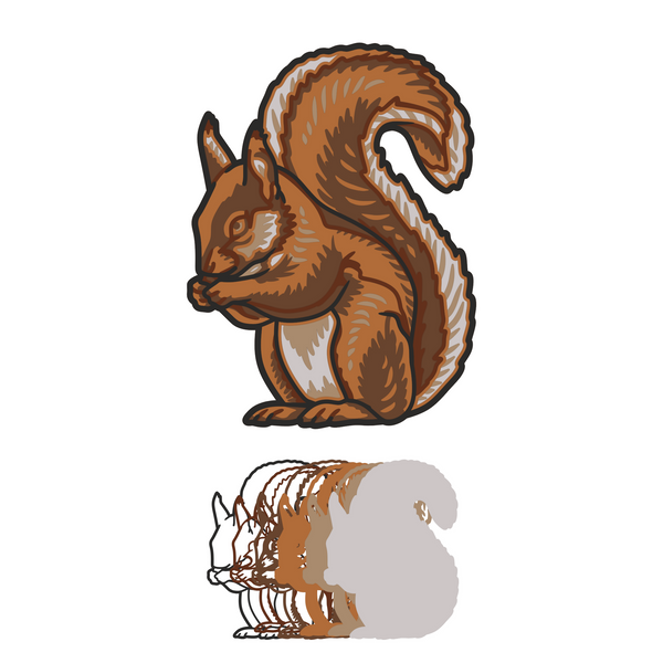 Squirrel - Animal - Layered Line Design - Digital File Digital My Custom Designs ZIP File