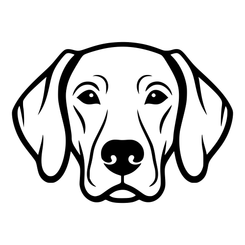 Vizsla Face - Digital File - XCS Friendly Digital My Custom Designs PDF