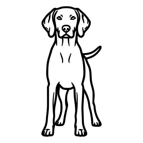 Vizsla Outline - Digital File - XCS Friendly Digital My Custom Designs PDF
