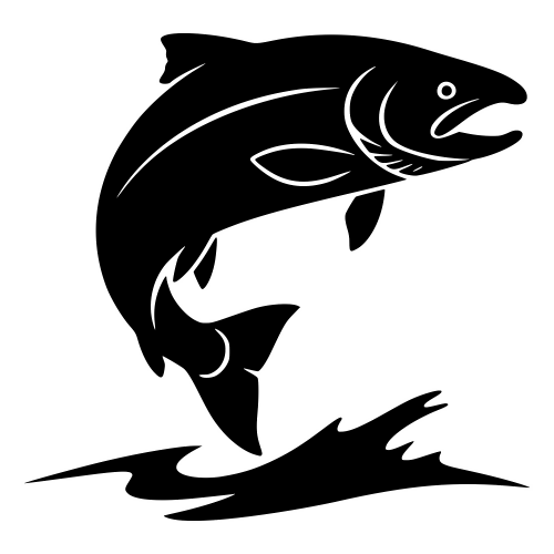 Salmon Silhouette - Digital File - XCS Friendly Digital My Custom Designs PDF