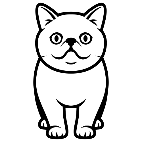 Exotic Shorthair - Digital File - XCS Friendly Digital My Custom Designs PDF
