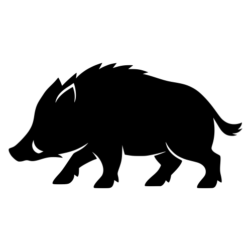 Wild Boar Silhouette - Vector Graphics - Digital File Digital My Custom Designs PDF