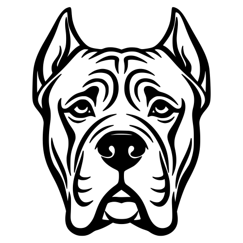 Cane Corso Sketch - Digital File - XCS Friendly Digital My Custom Designs PDF