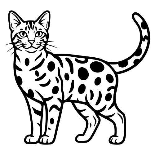 California Spangled - Vector Graphics - Digital File Digital My Custom Designs PDF