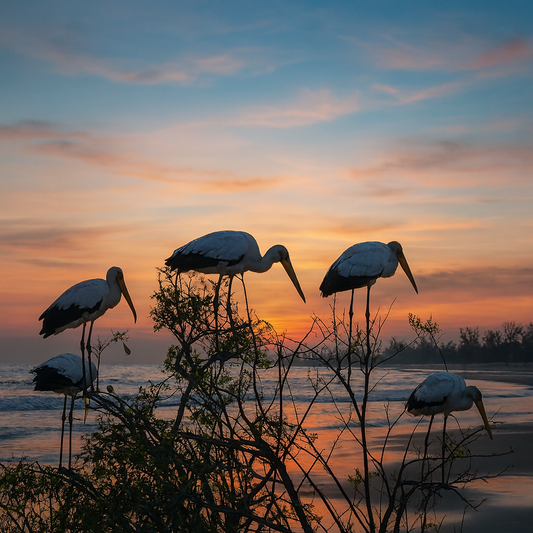 Birdwatching - Kruger National Park South Africa - Africa - Rendered - Digital File Digital My Custom Designs PDF